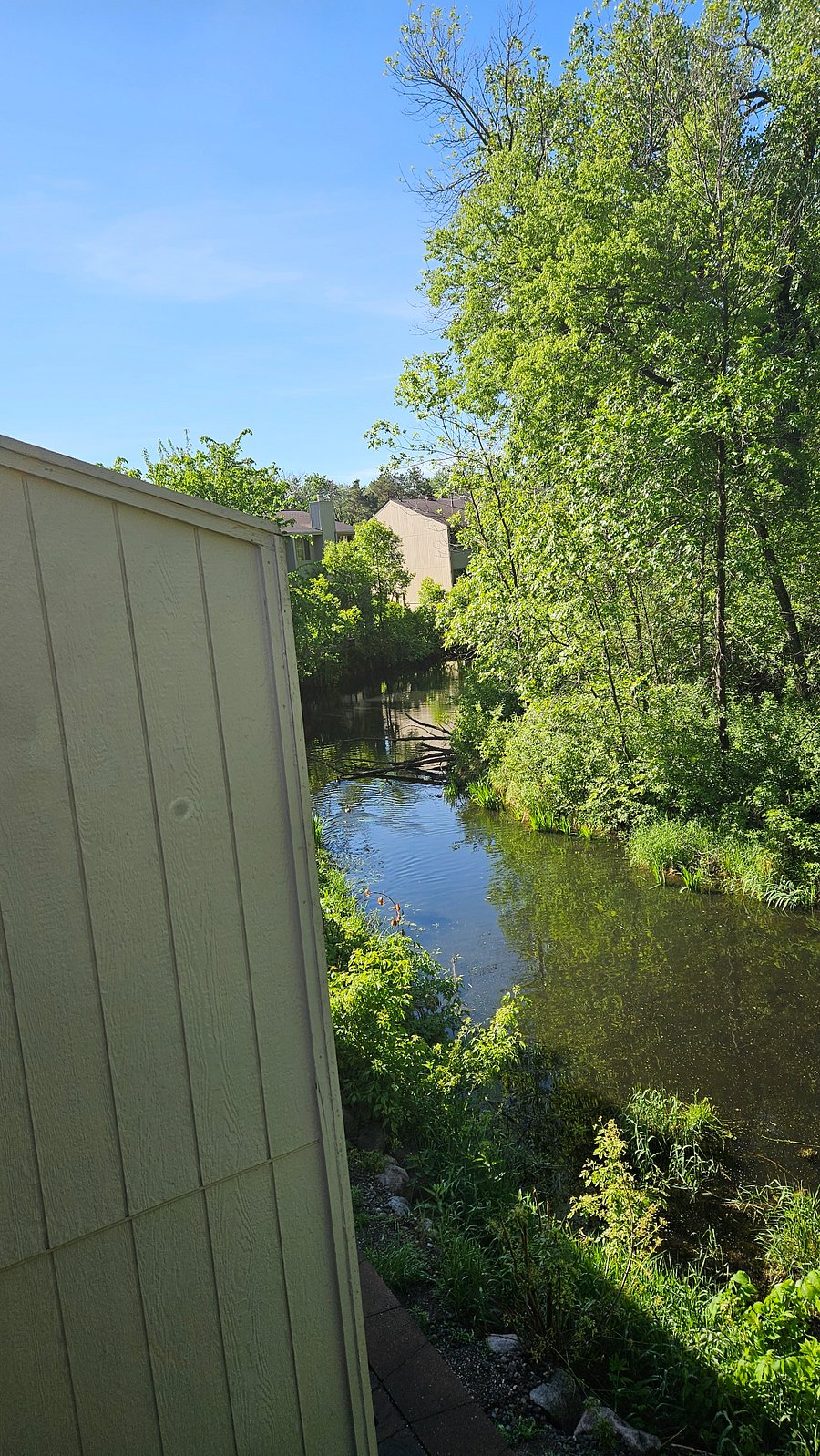 Furnished Finder property 1035089_1 photo 7