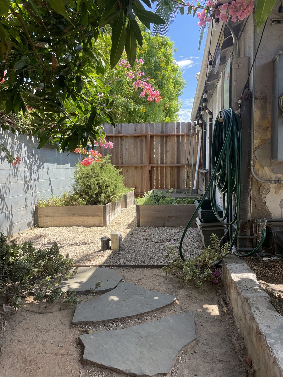 Four raised garden beds with herbs and seasonal plantings.