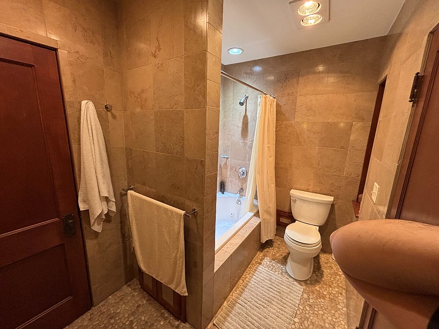 Master bathroom with jacuzzi tub