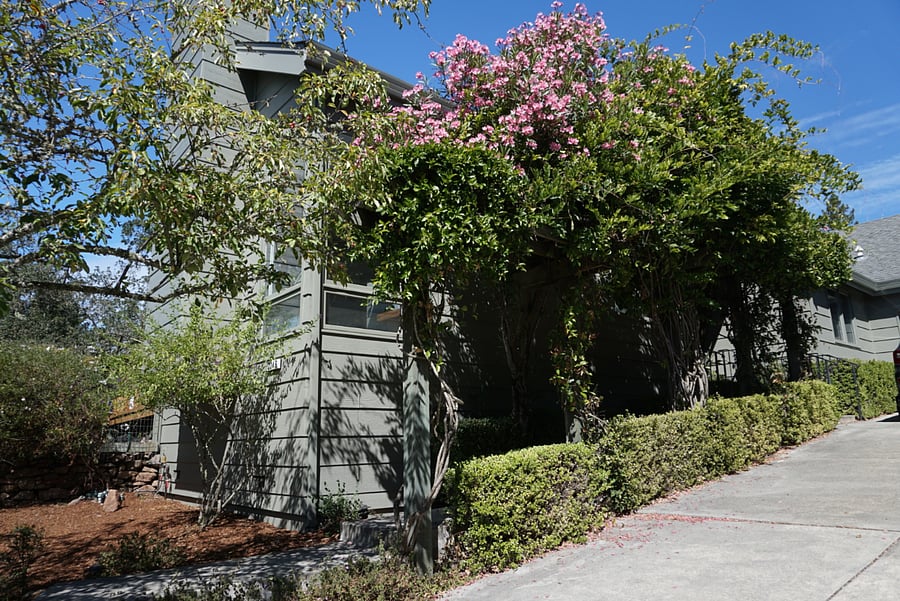 Furnished Finder property 1035126_1 photo 3
