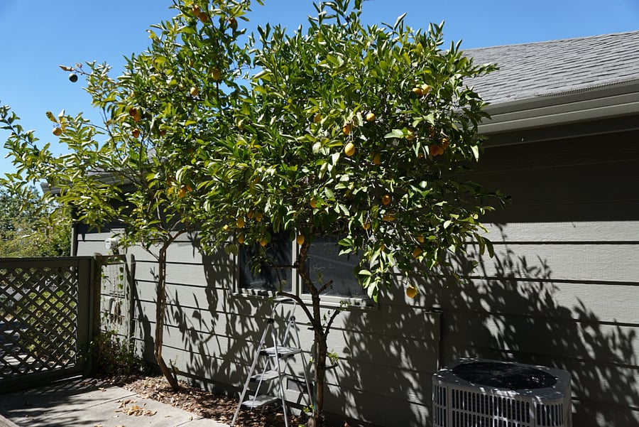 Furnished Finder property 1035126_1 photo 25