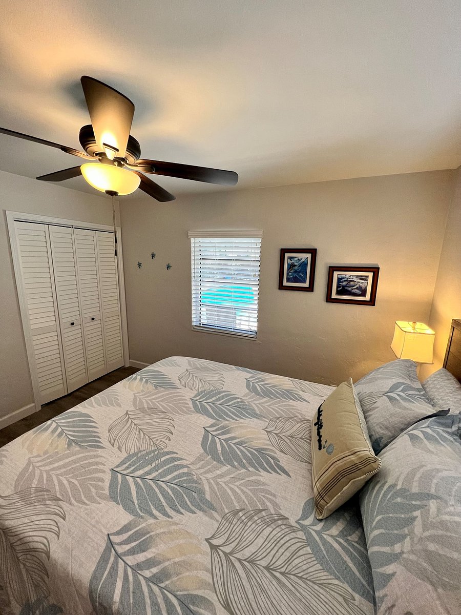 Furnished Finder property 1035218_1 photo 15