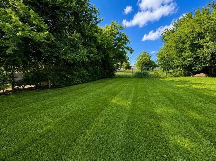 Large backyard, no neighbor directly behind the property