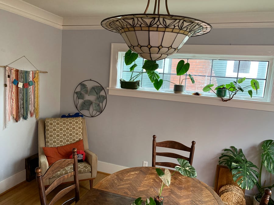Furnished Finder property 1035284_1 photo 3