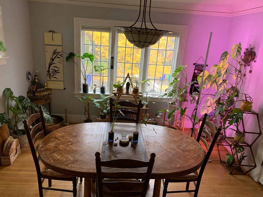Furnished Finder property 1035284_1 photo 4
