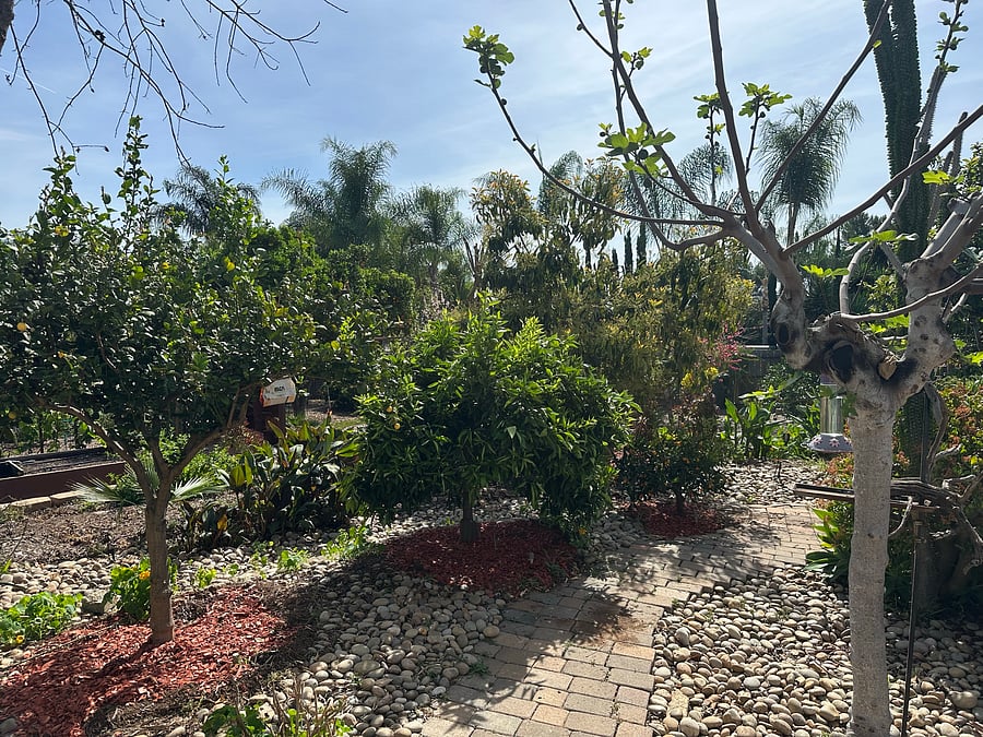 Furnished Finder property 1035339_1 photo 11