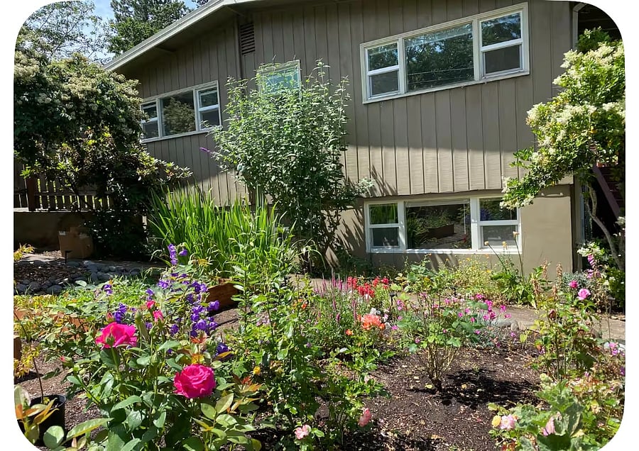 Lower windows are the FF main bedroom windows. Bright garden throughout Spring/Summer