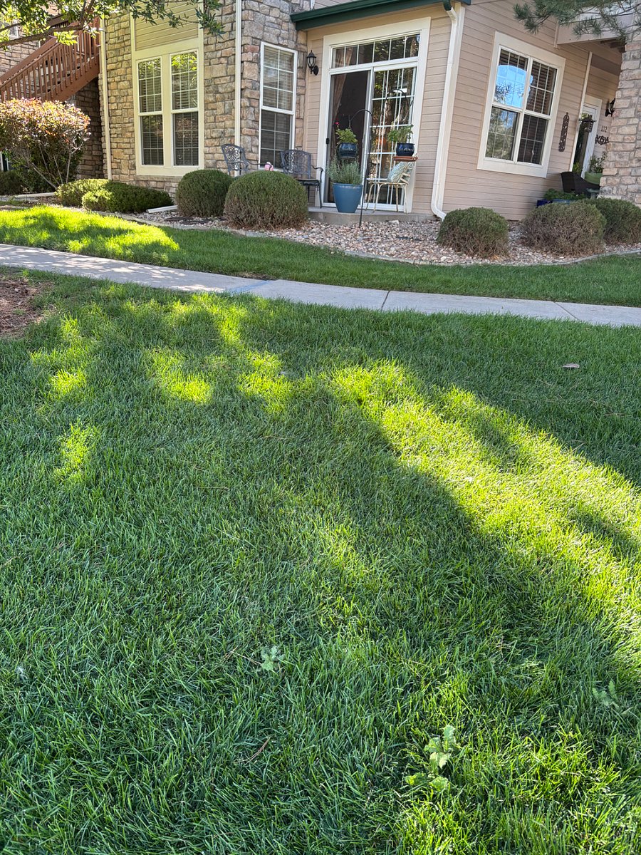 Side patio