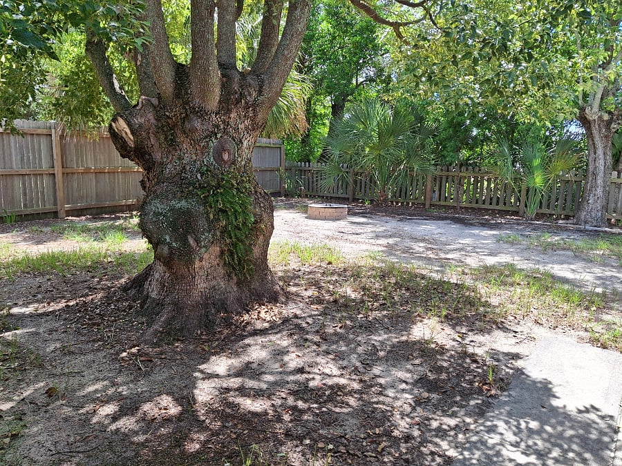 Furnished Finder property 1035423_1 photo 9