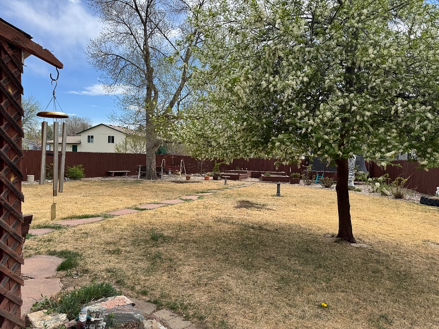 Furnished Finder property 1035428_1 photo 14