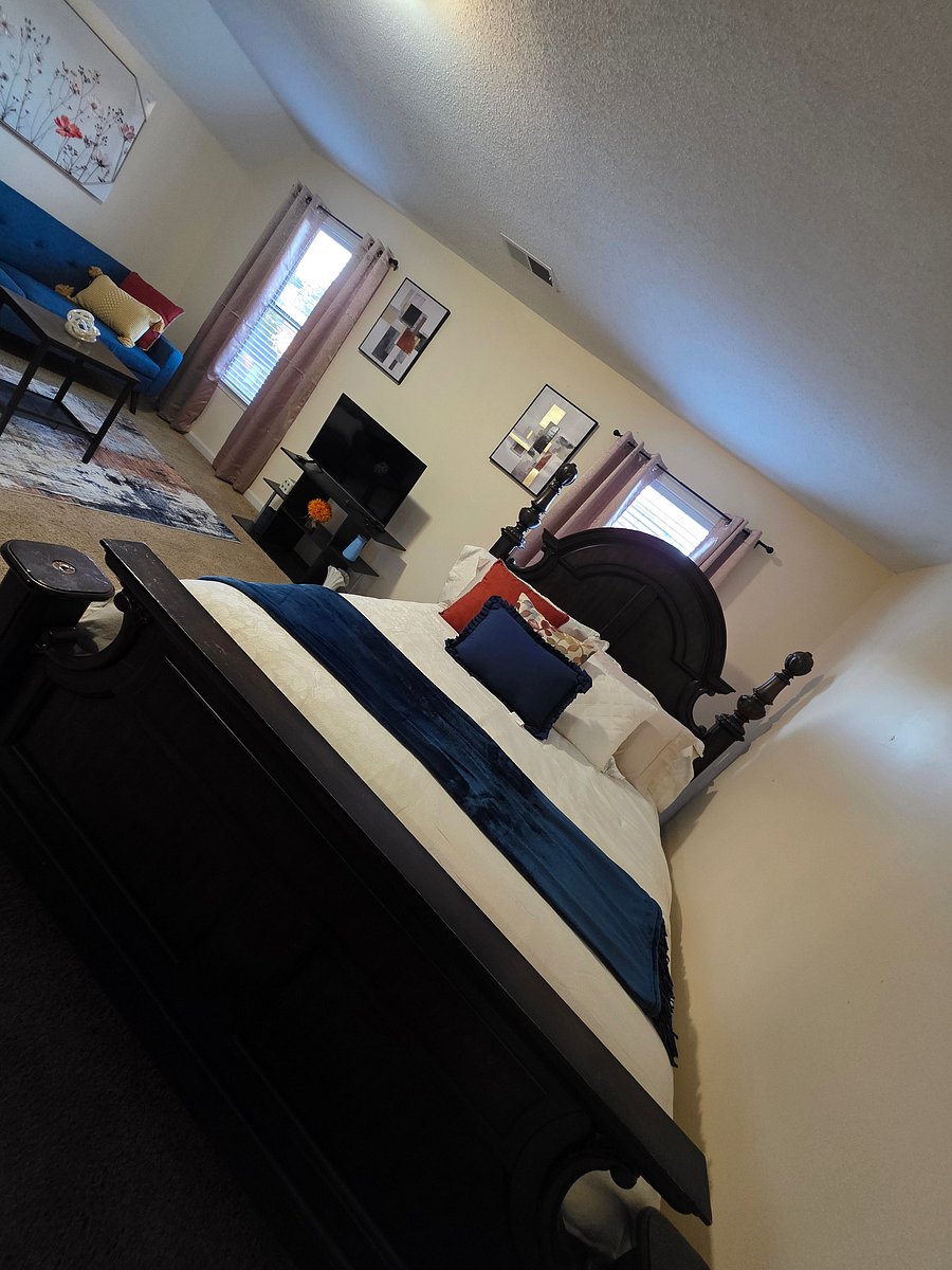Furnished Finder property 1035526_2 photo 7