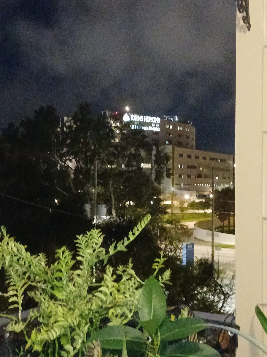 John's Hopkins, and the Highway Entrance. Bayfront behind, out of view.