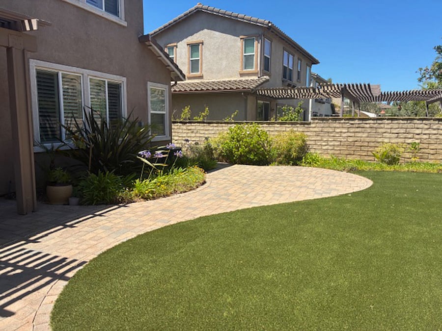 back yard