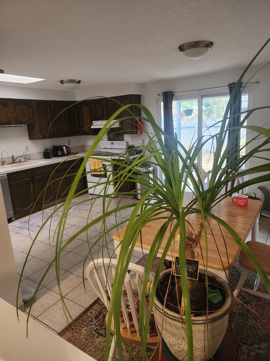 Furnished Finder property 1035560_1 photo 8