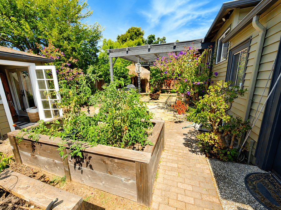 Backyard Garden