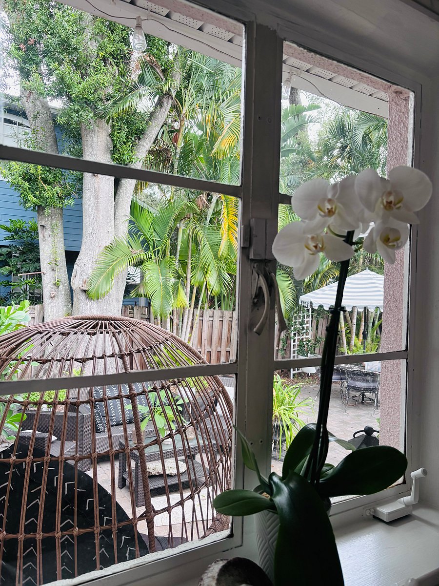View from kitchen, courtyard-style fenced in backyard.
