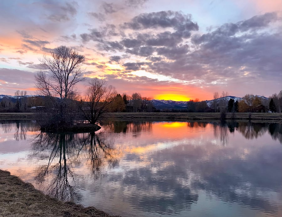 Sunset view from the pond, just steps from your guest suite door