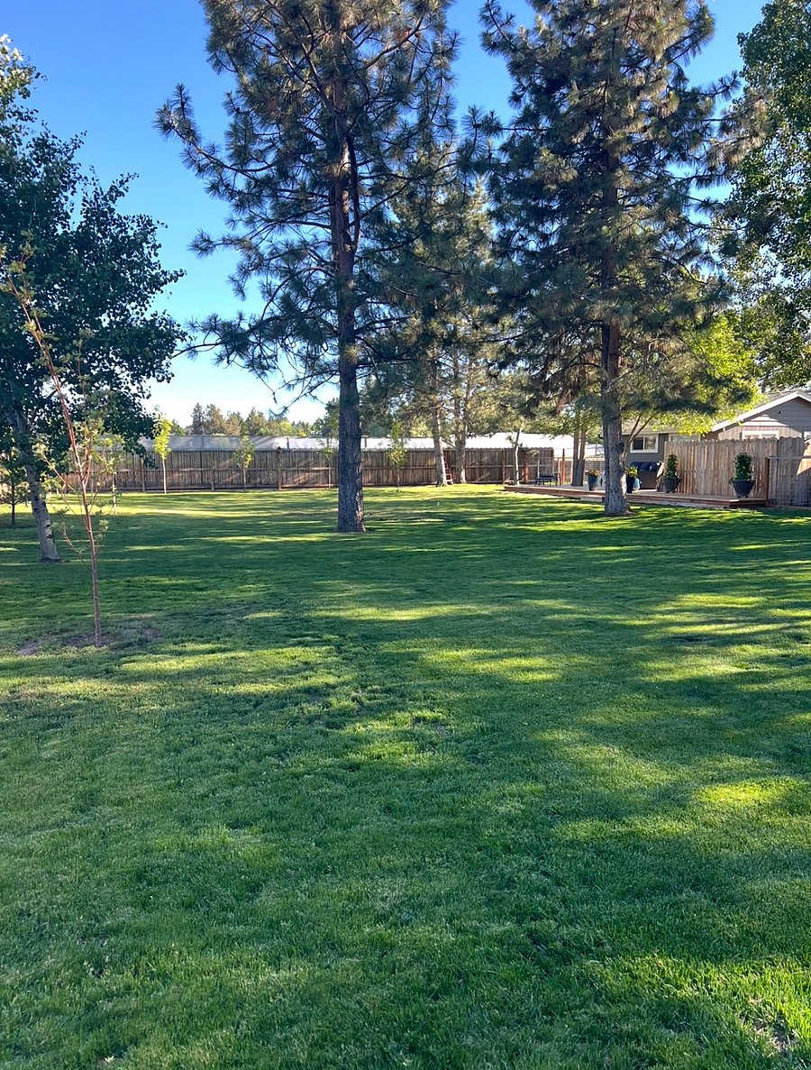 Furnished Finder property 1035889_1 photo 6