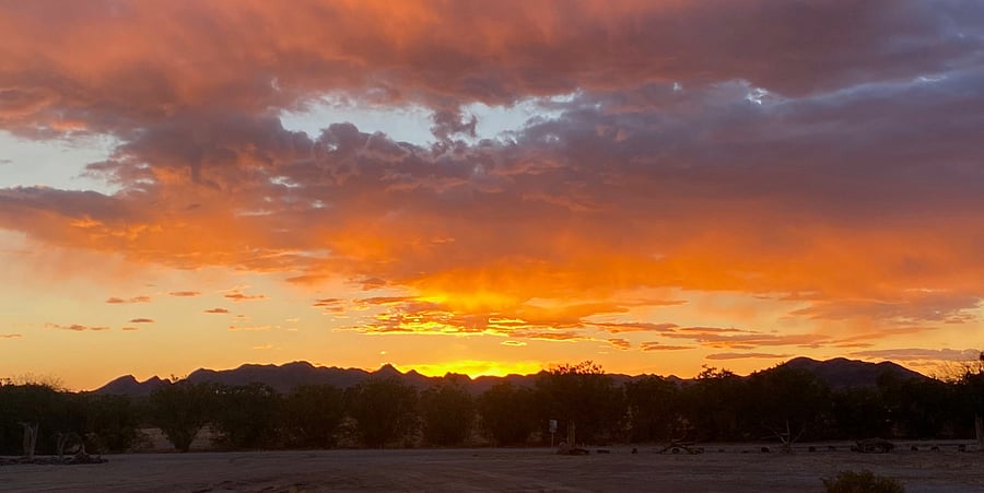View from patio.