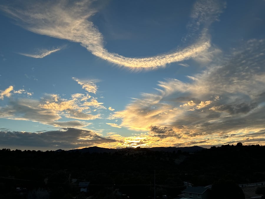 View from patio.