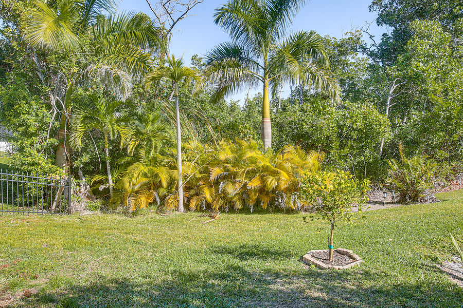 Furnished Finder property 1035985_1 photo 32