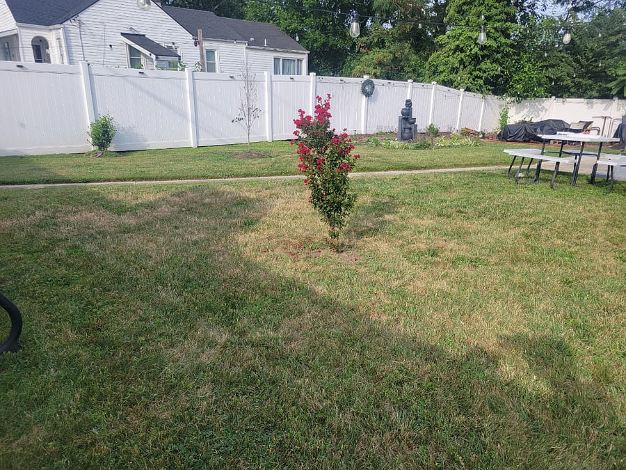 Furnished Finder property 1036042_1 photo 32