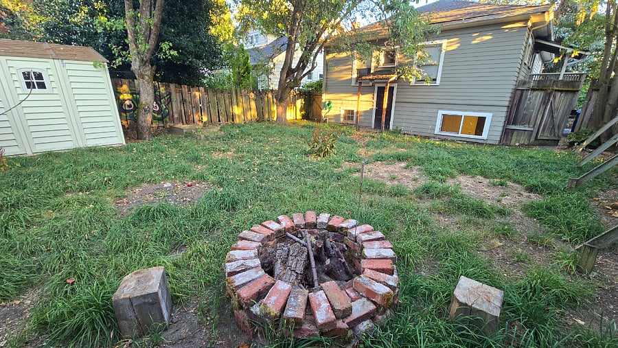 Spacious fully fenced yard- shared space