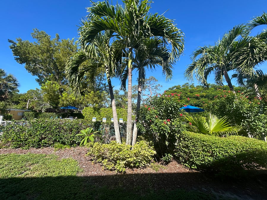 Furnished Finder property 1036100_1 photo 18