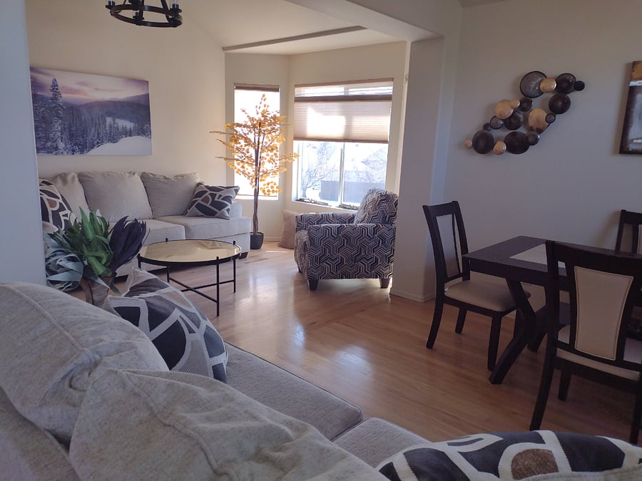 Living room + dining area