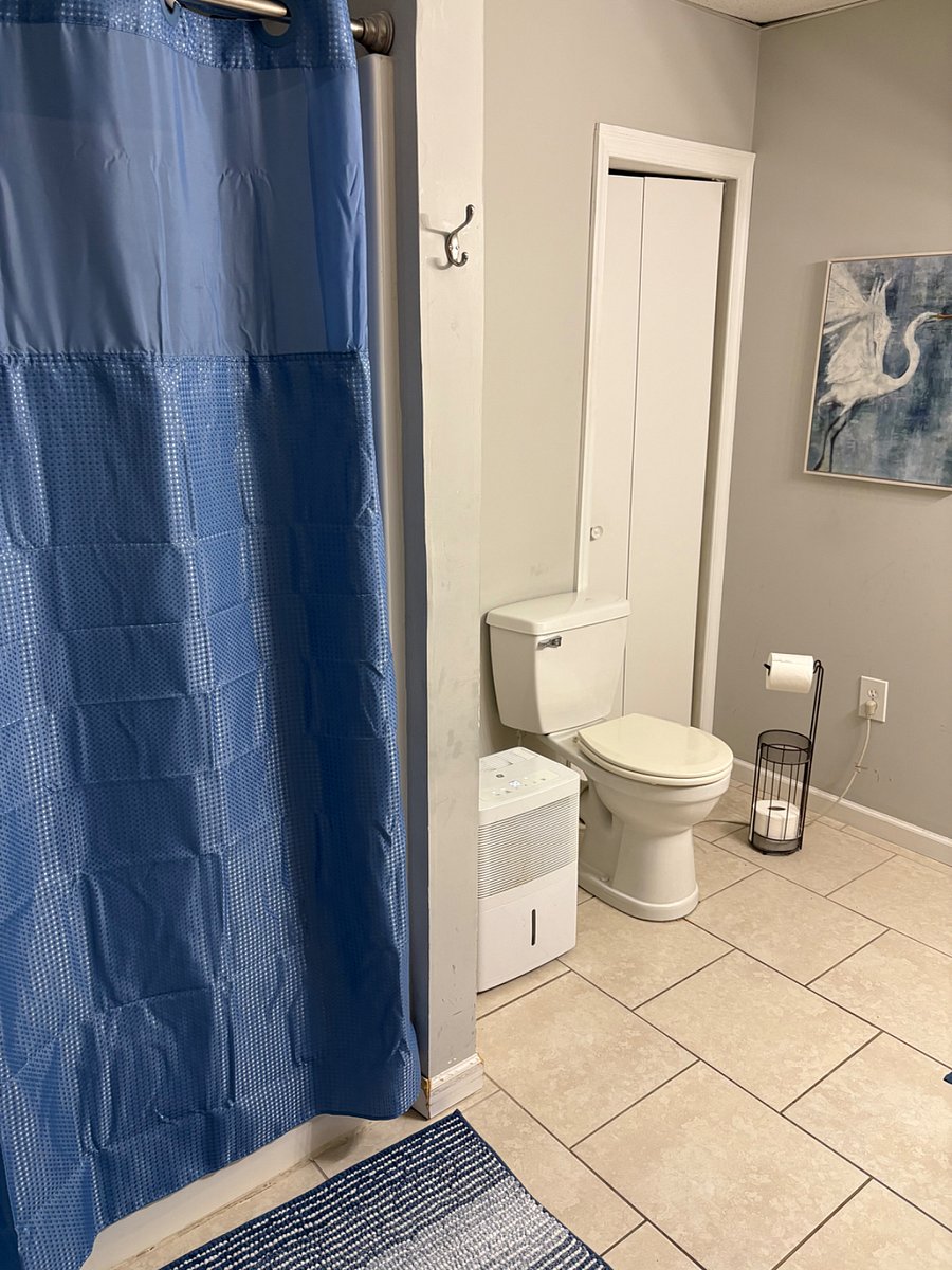 Furnished Finder property 1036134_1 photo 4
