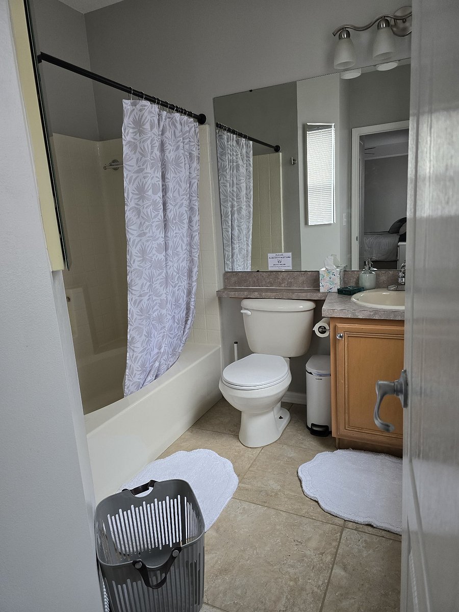 Furnished Finder property 1036162_1 photo 6