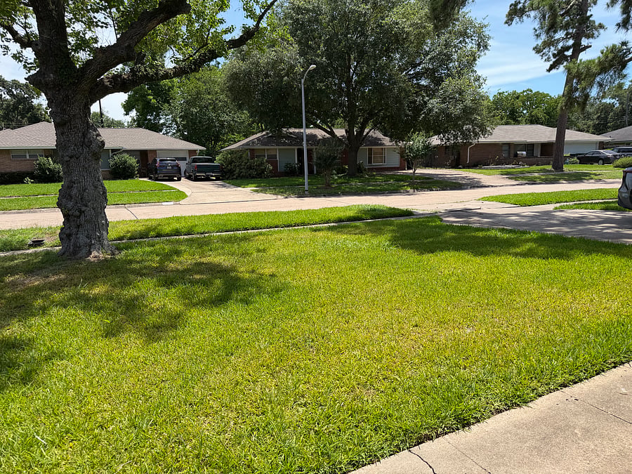 Furnished Finder property 1036212_1 photo 21