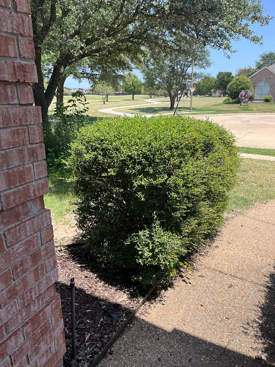 Furnished Finder property 1036247_1 photo 8