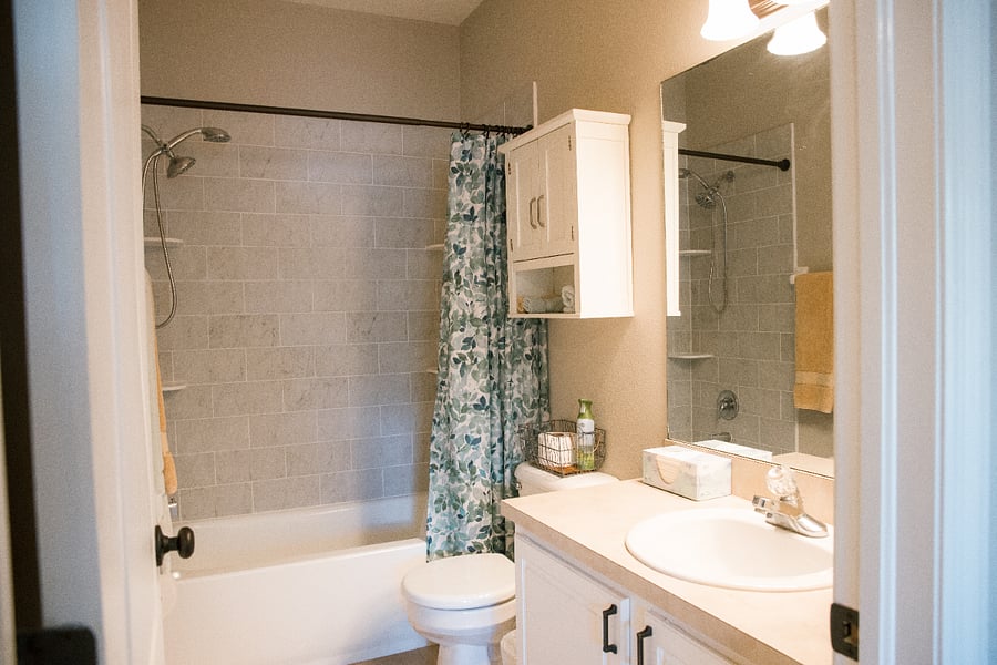 Primary Bathroom; Under-sink and over-toilet storage, recently remodeled shower with in-wall shelving, and a showerhead hose attachment