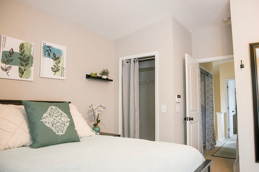 Primary Bedroom, showing 1 of 2 closets.