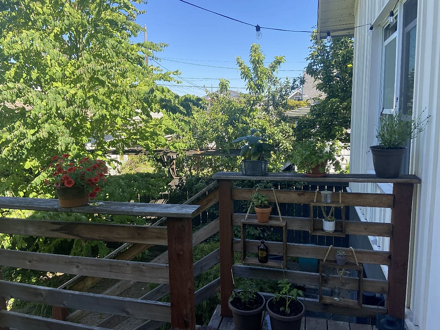 Lots of greenery and opportunities for plant tending!