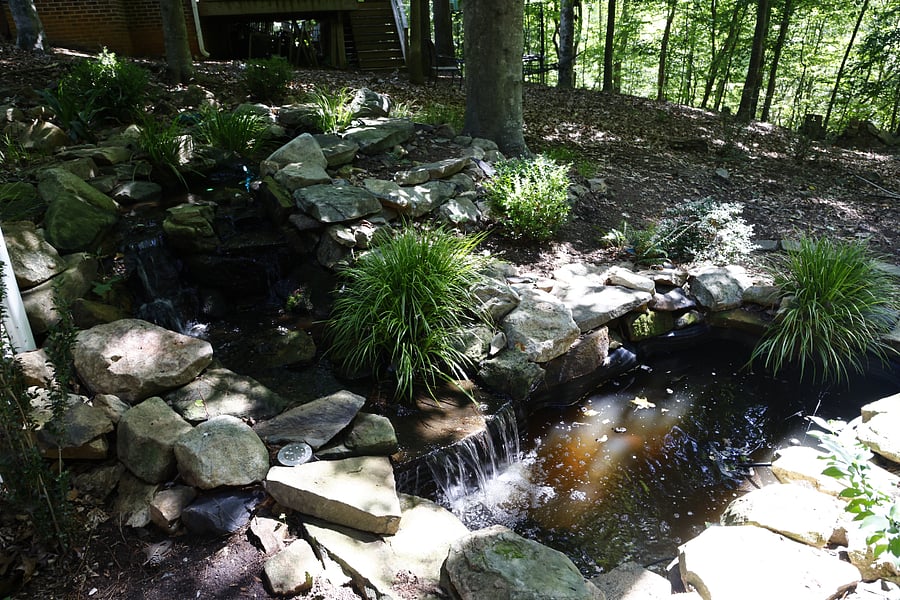Water feature with Koi
