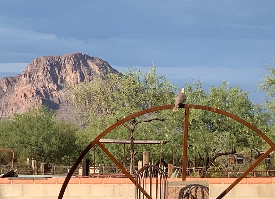 Mountain views from pool area.