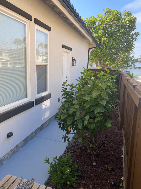 Private side yard