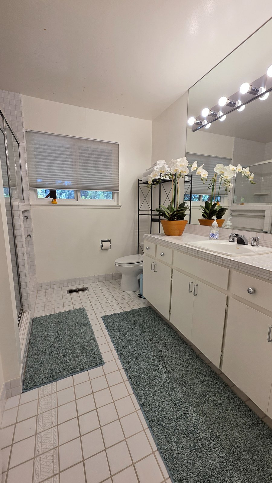 Furnished Finder property 1036536_1 photo 11