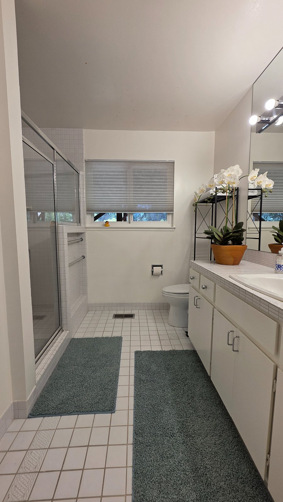 Furnished Finder property 1036536_1 photo 10