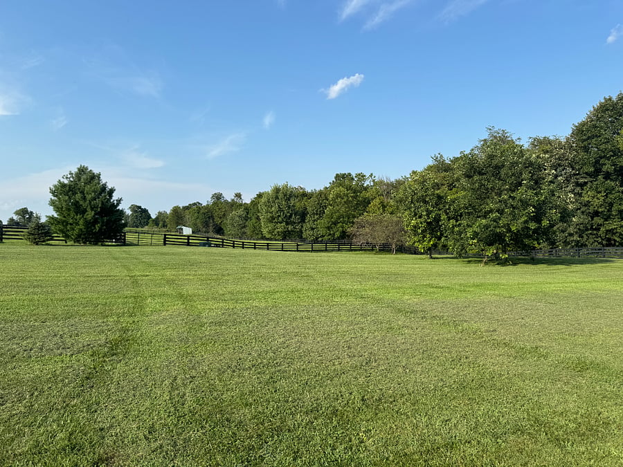 Furnished Finder property 1036542_1 photo 26