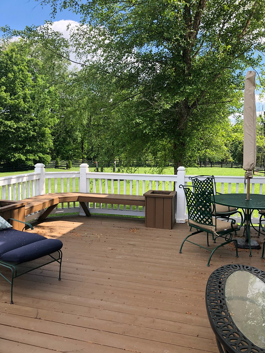 Furnished Finder property 1036542_1 photo 23