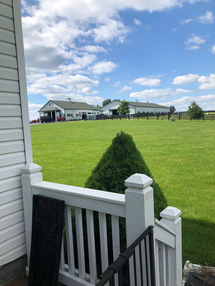Furnished Finder property 1036542_1 photo 24