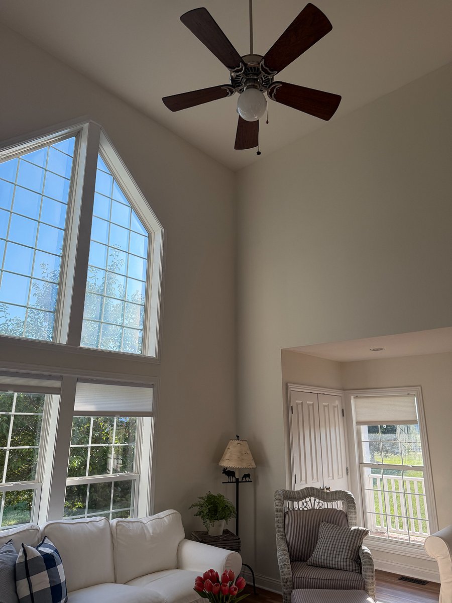Furnished Finder property 1036542_1 photo 7