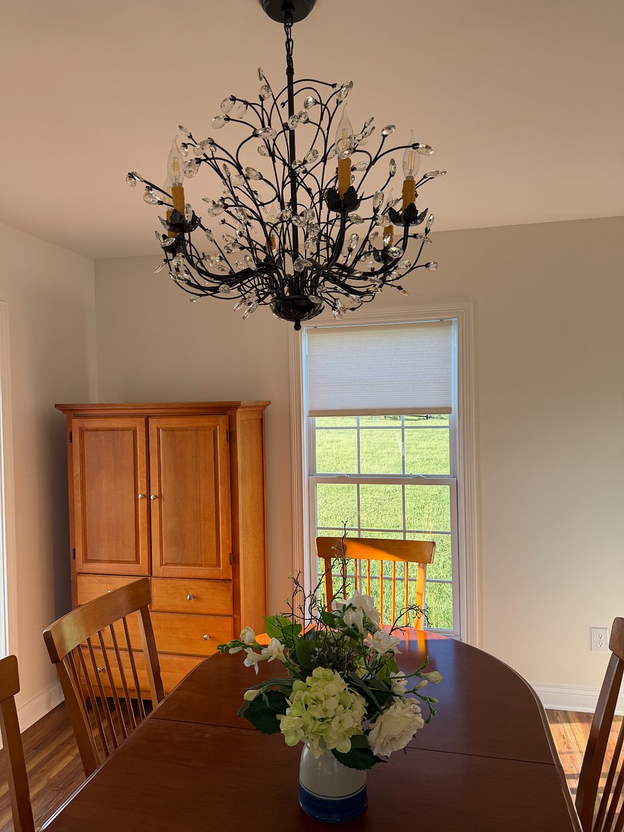 Furnished Finder property 1036542_1 photo 16