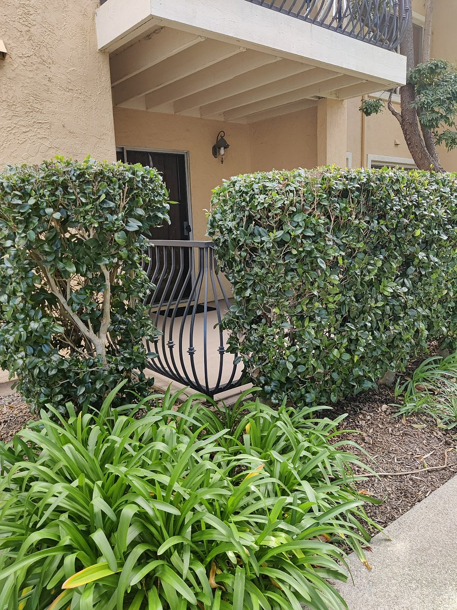 Furnished Finder property 1036656_1 photo 11