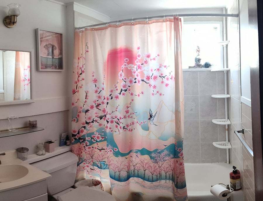 Furnished Finder property 1036676_1 photo 3