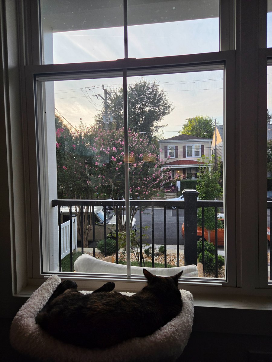 Furnished Finder property 1036707_1 photo 19