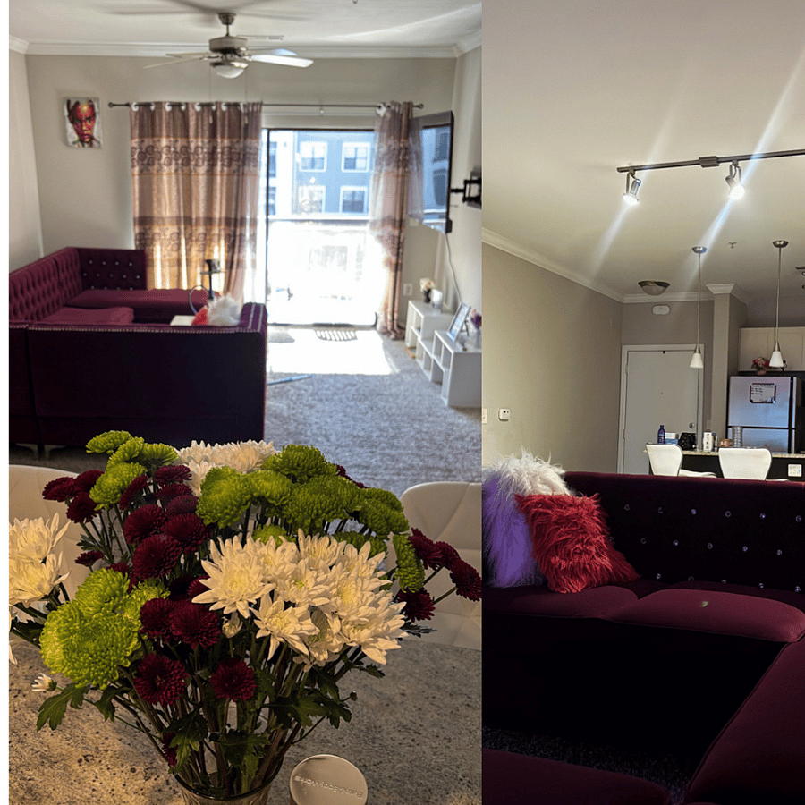 Furnished Finder property 1036768_1 photo 12
